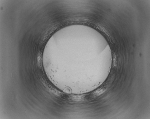 X0000066080314200604071738