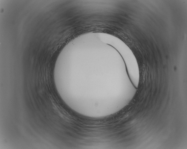 X0000066080316200604071738