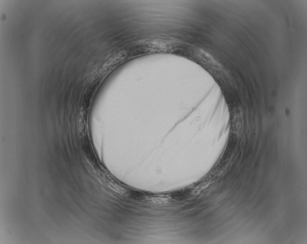 X0000066080318200604071738