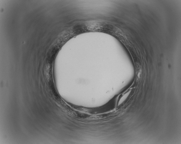 X0000066080319200604071738