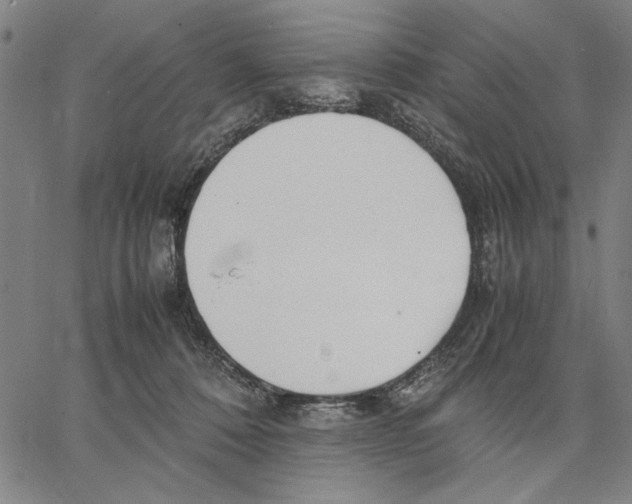 X0000066080320200604071738