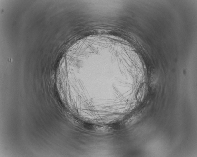 X0000066080321200604071738