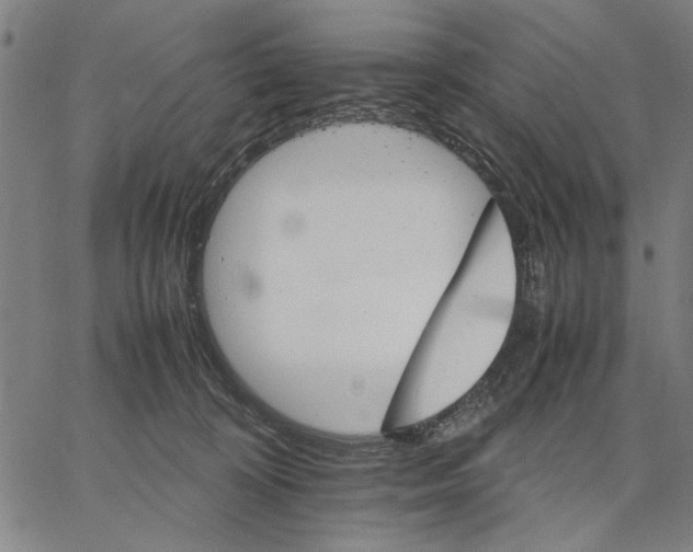 X0000066080324200604071738