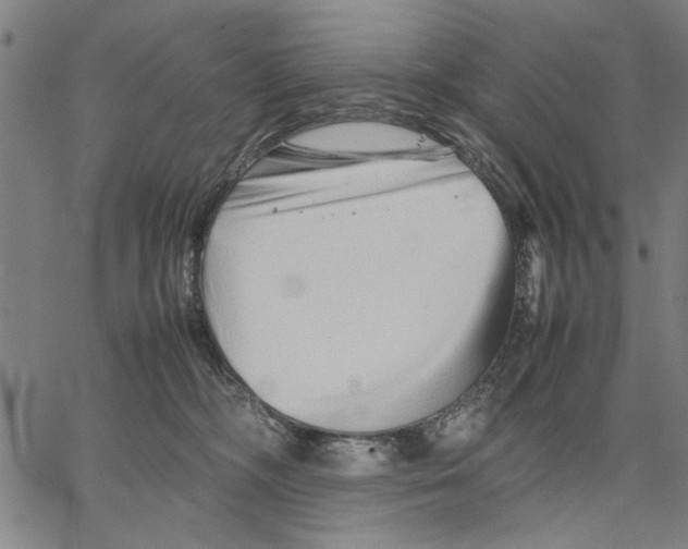 X0000066080326200604071738