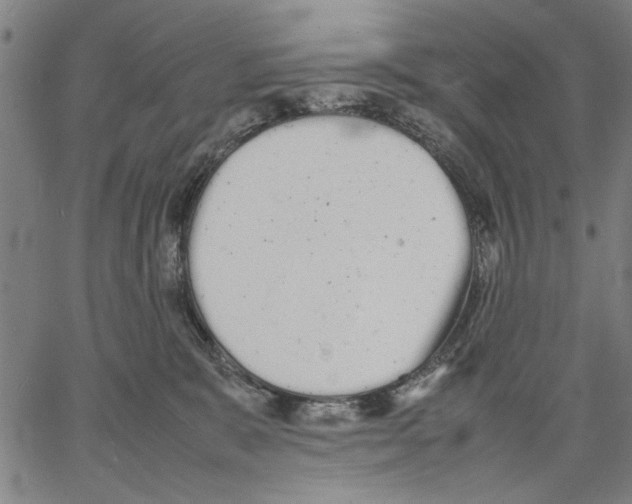 X0000066080327200604071738