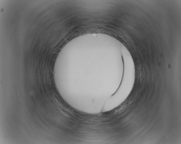 X0000066080328200604071738