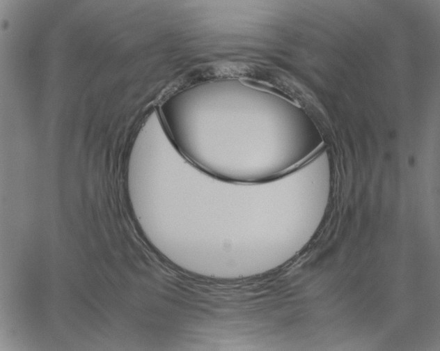 X0000066080329200604071738