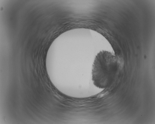 X0000066080331200604071738