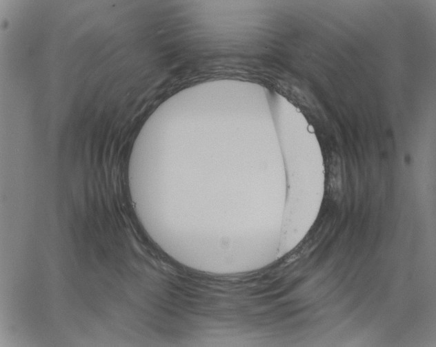 X0000066080332200604071738