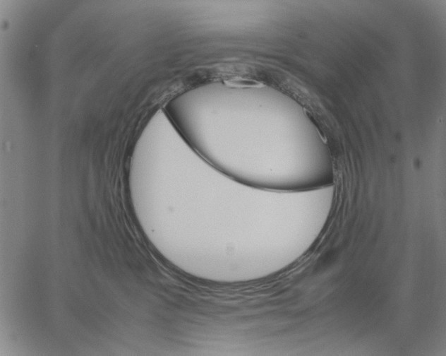 X0000066080333200604071738