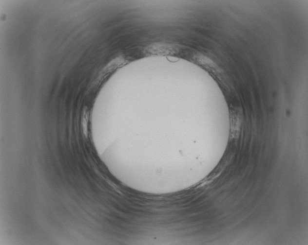 X0000066080334200604071738