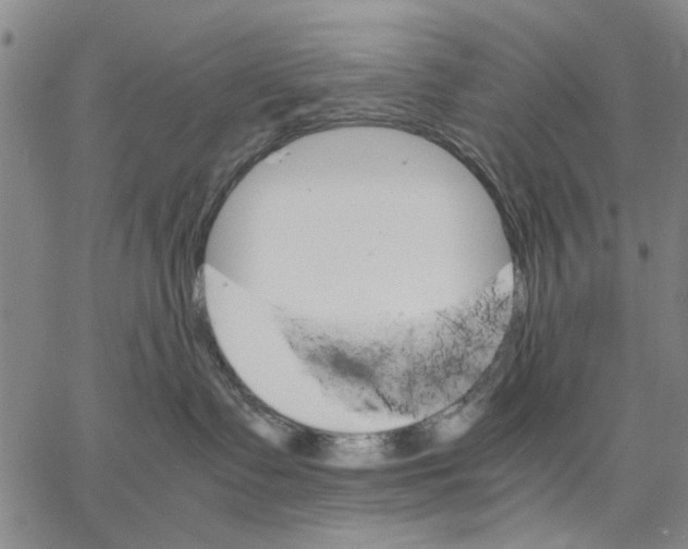 X0000066080335200604071738