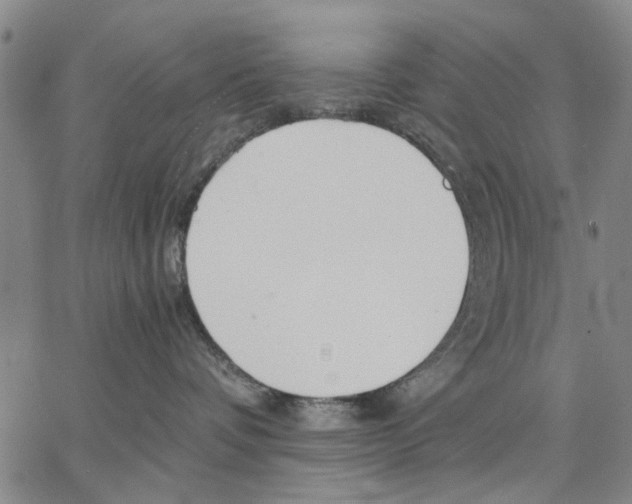 X0000066080336200604071738