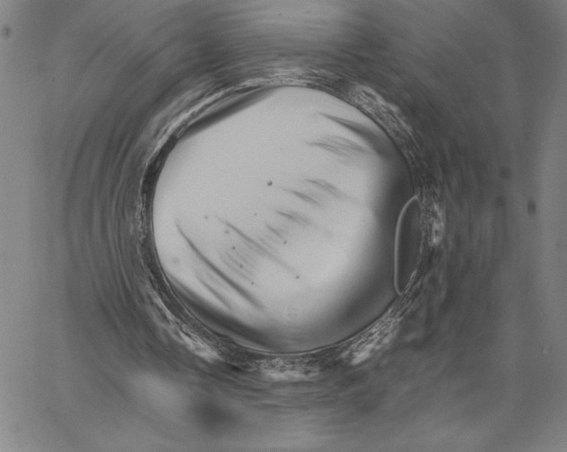 X0000066080338200604071737