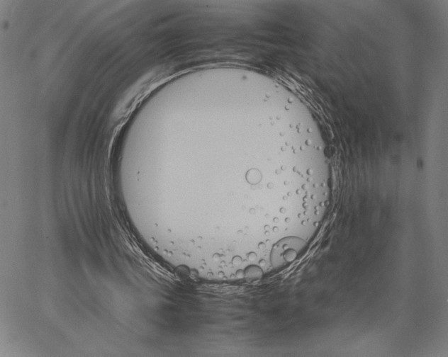 X0000066080339200604071737