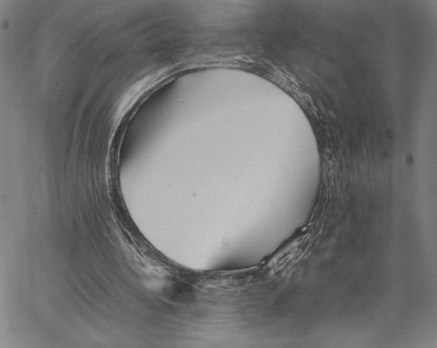 X0000066080340200604071737