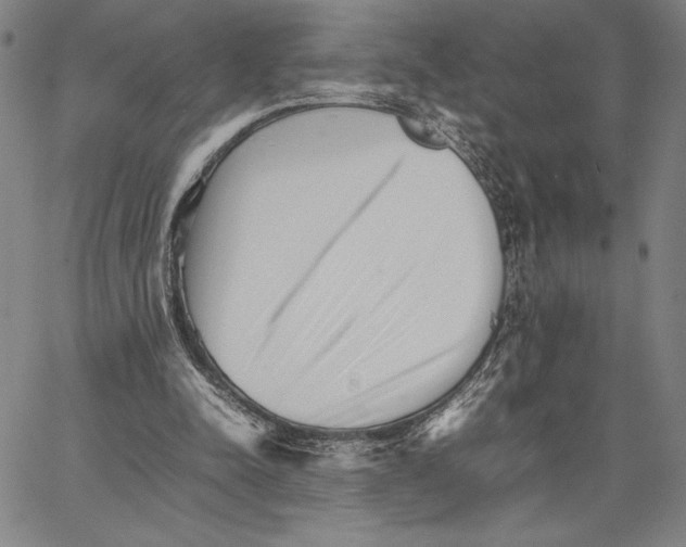 X0000066080342200604071737