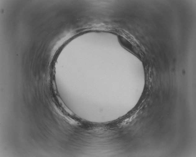 X0000066080344200604071737