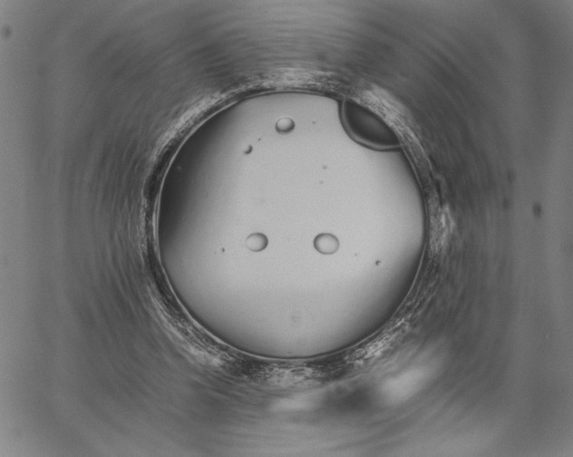 X0000066080346200604071737