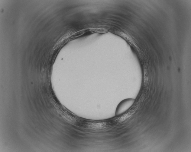 X0000066080349200604071737