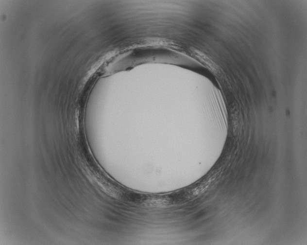 X0000066080350200604071737