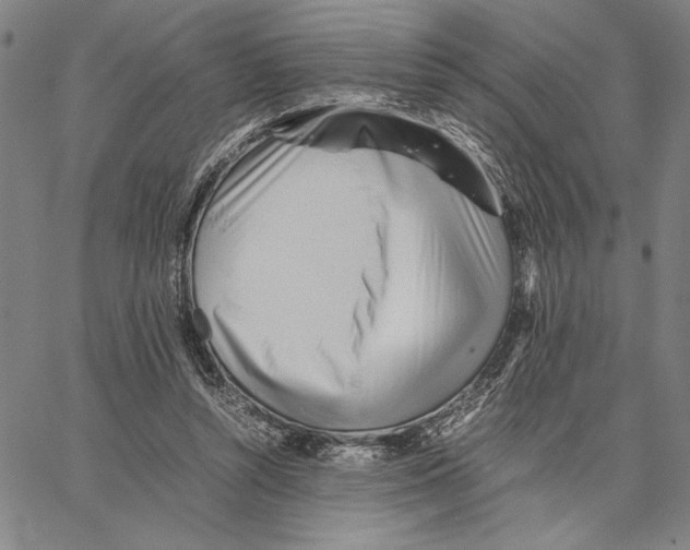 X0000066080352200604071737