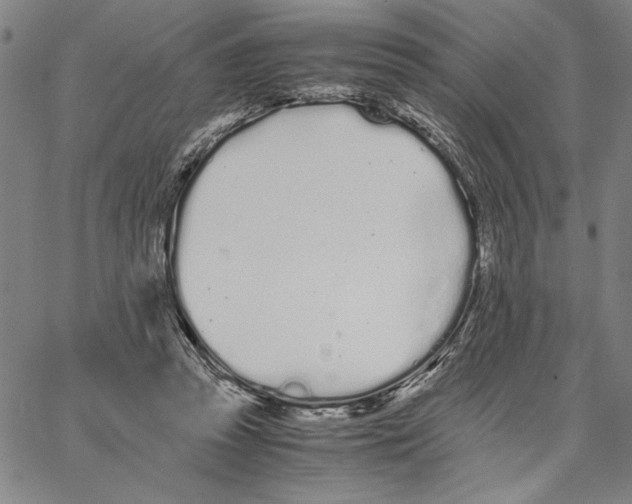 X0000066080353200604071737