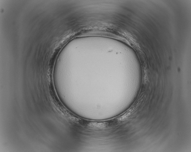 X0000066080354200604071737