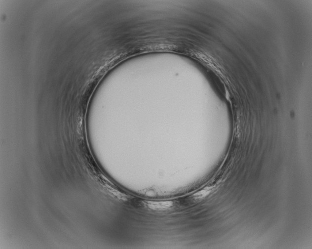 X0000066080355200604071737