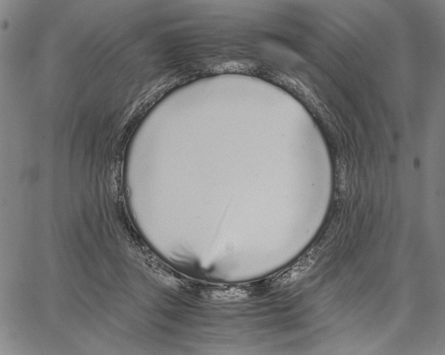 X0000066080357200604071737