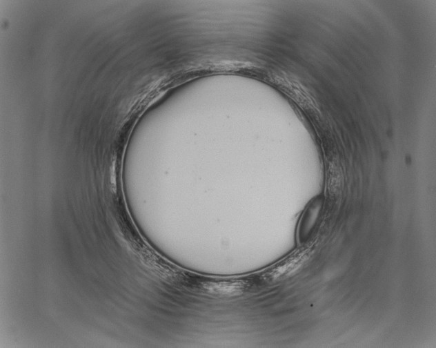 X0000066080358200604071737