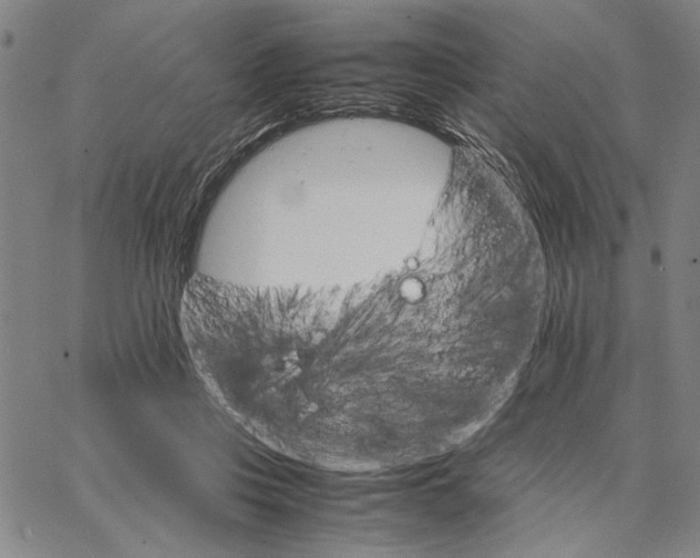 X0000066080359200604071737