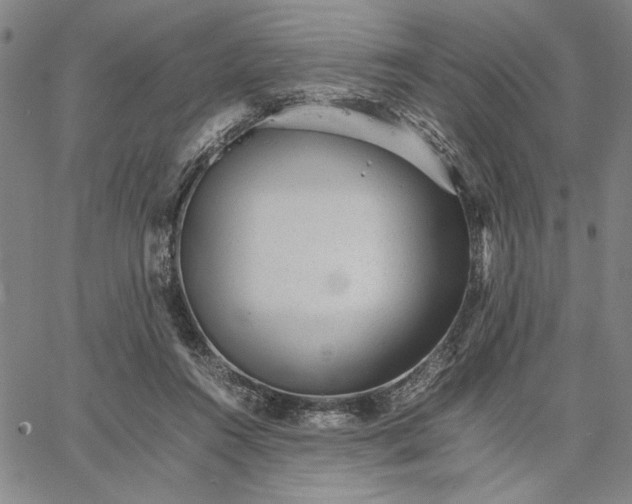 X0000066080360200604071737