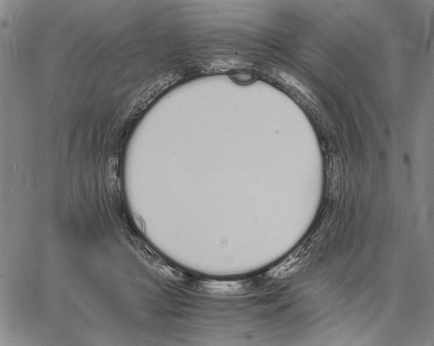 X0000066080361200604071737