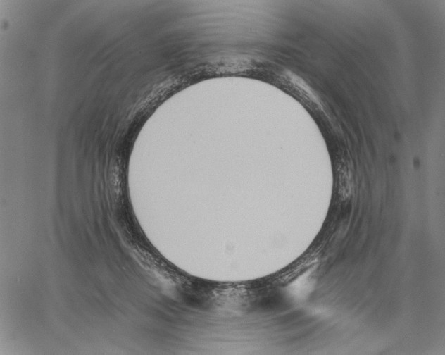 X0000066080362200604071737