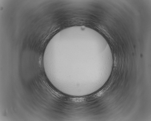 X0000066080363200604071737