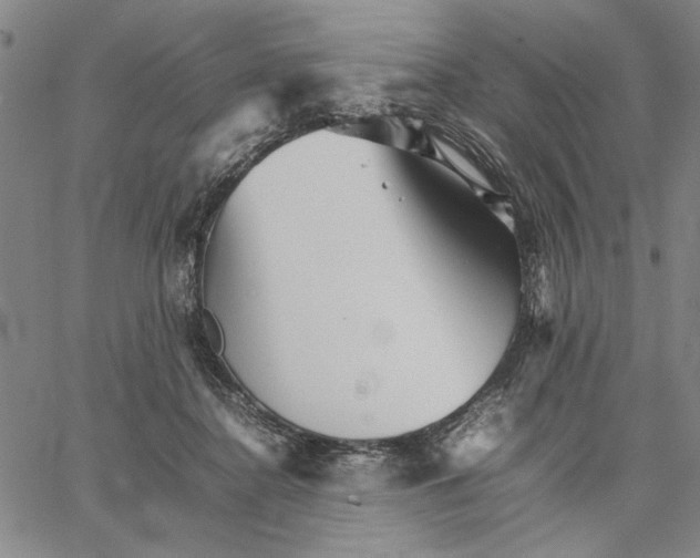 X0000066080364200604071737