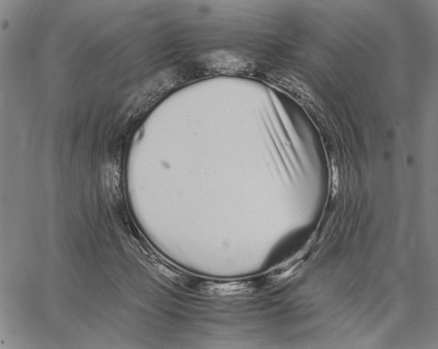 X0000066080365200604071738