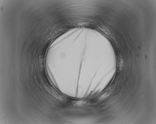 X0000066080366200604071738