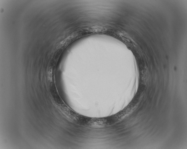 X0000066080368200604071738