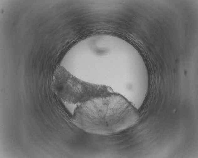 X0000066080369200604071738