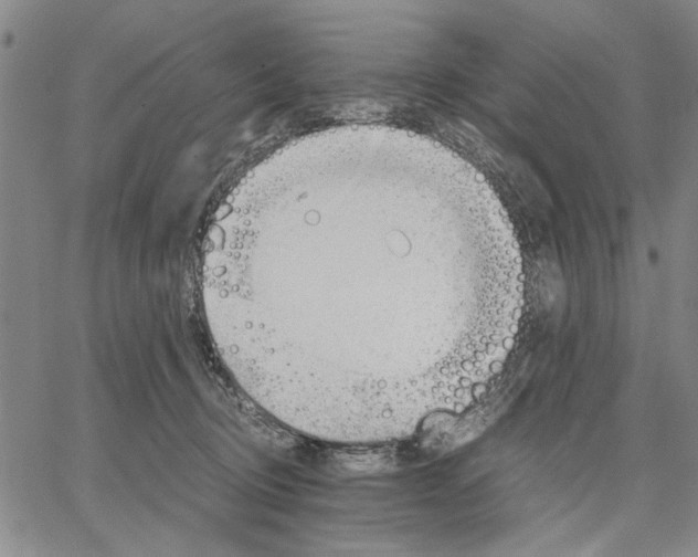 X0000066080370200604071738