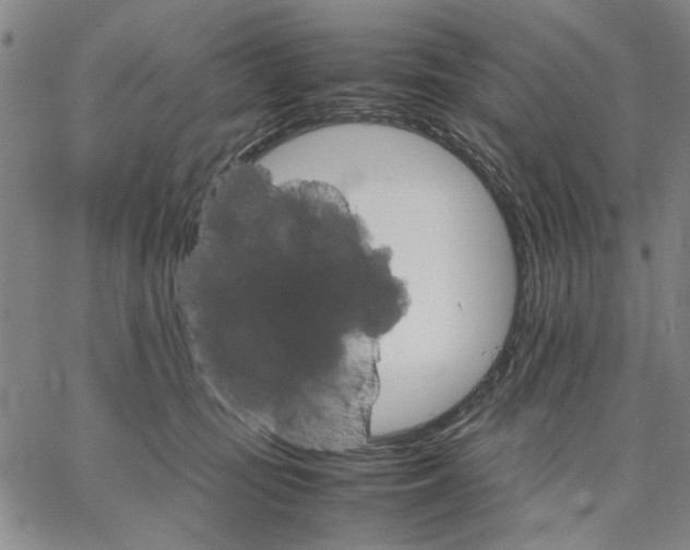 X0000066080371200604071738