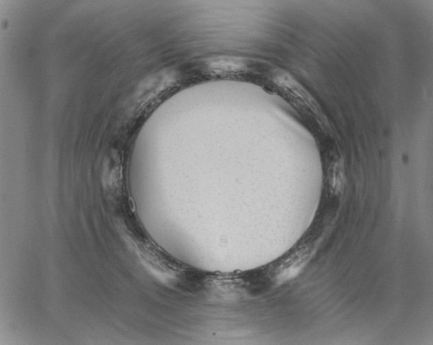 X0000066080372200604071738