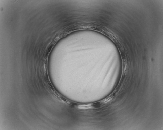 X0000066080373200604071738