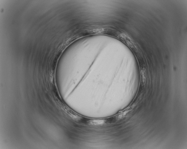 X0000066080374200604071738