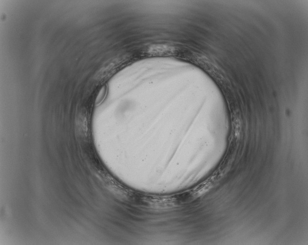 X0000066080375200604071738