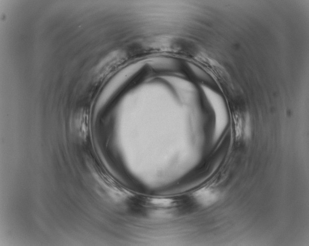 X0000066080376200604071738