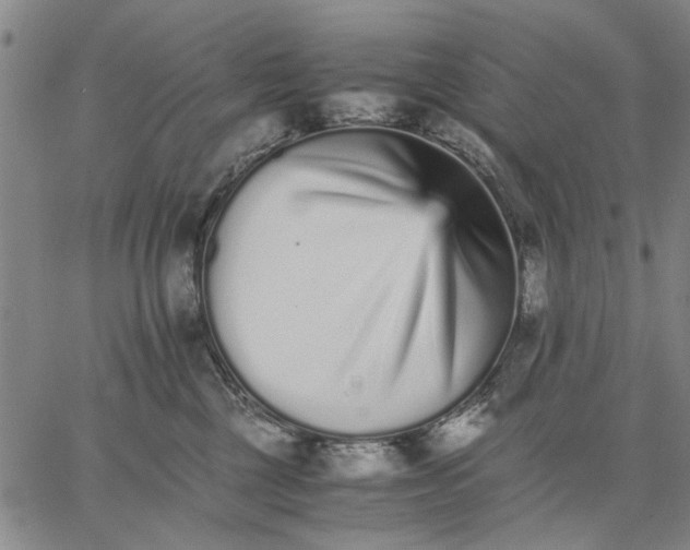 X0000066080377200604071738