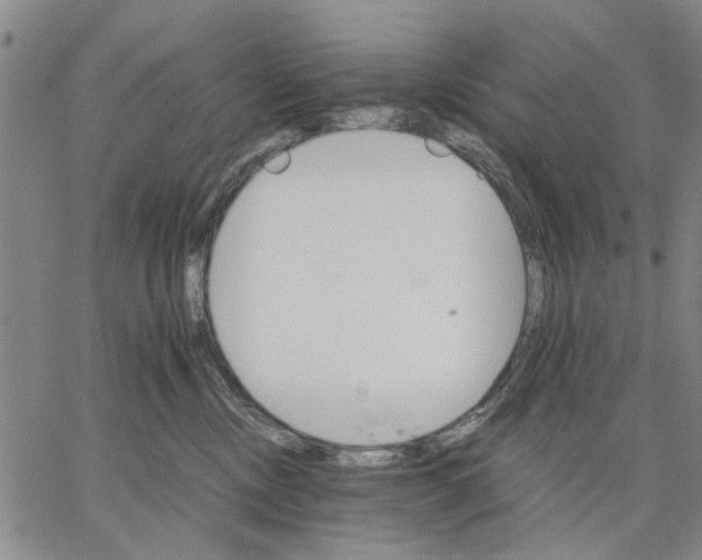 X0000066080378200604071738